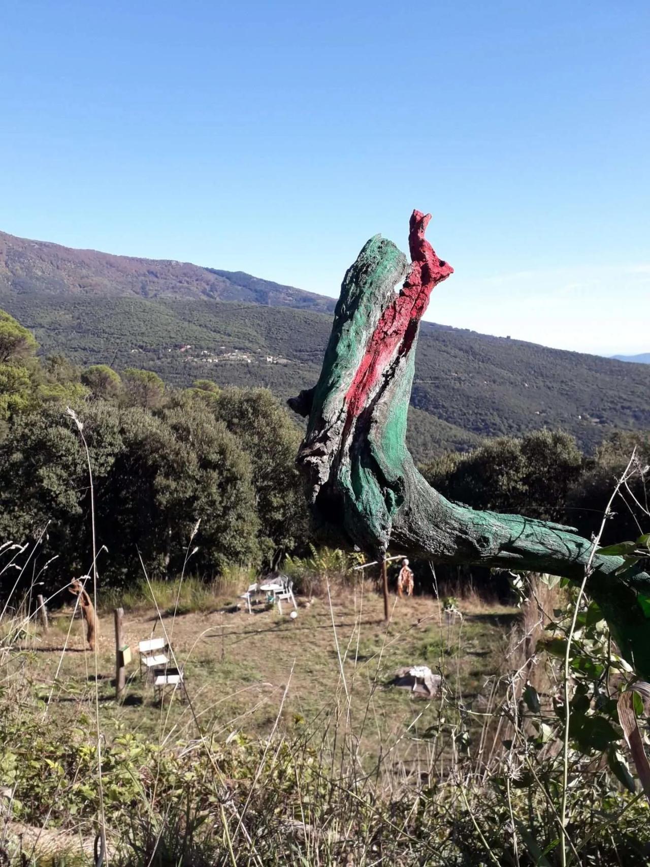 Recinto del Bibliobosc