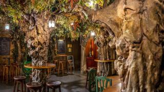 El bar con bosque encantado que te transportará a un mundo de hadas: un lugar mágico en Barcelona