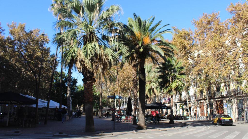La Rambla del Raval