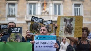 Protesta en Barcelona contra la matanza de jabalíes