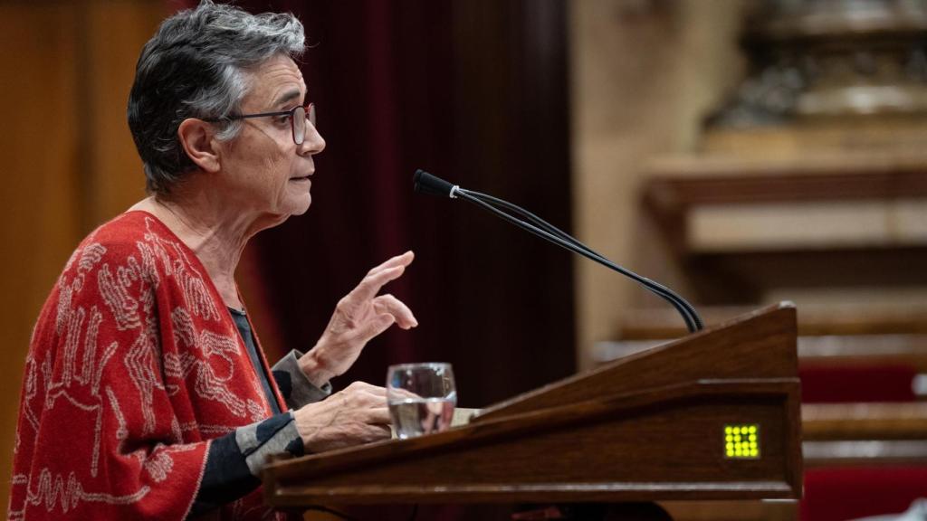 La consellera de Salut, Olga Pané, durant un ple al Parlament