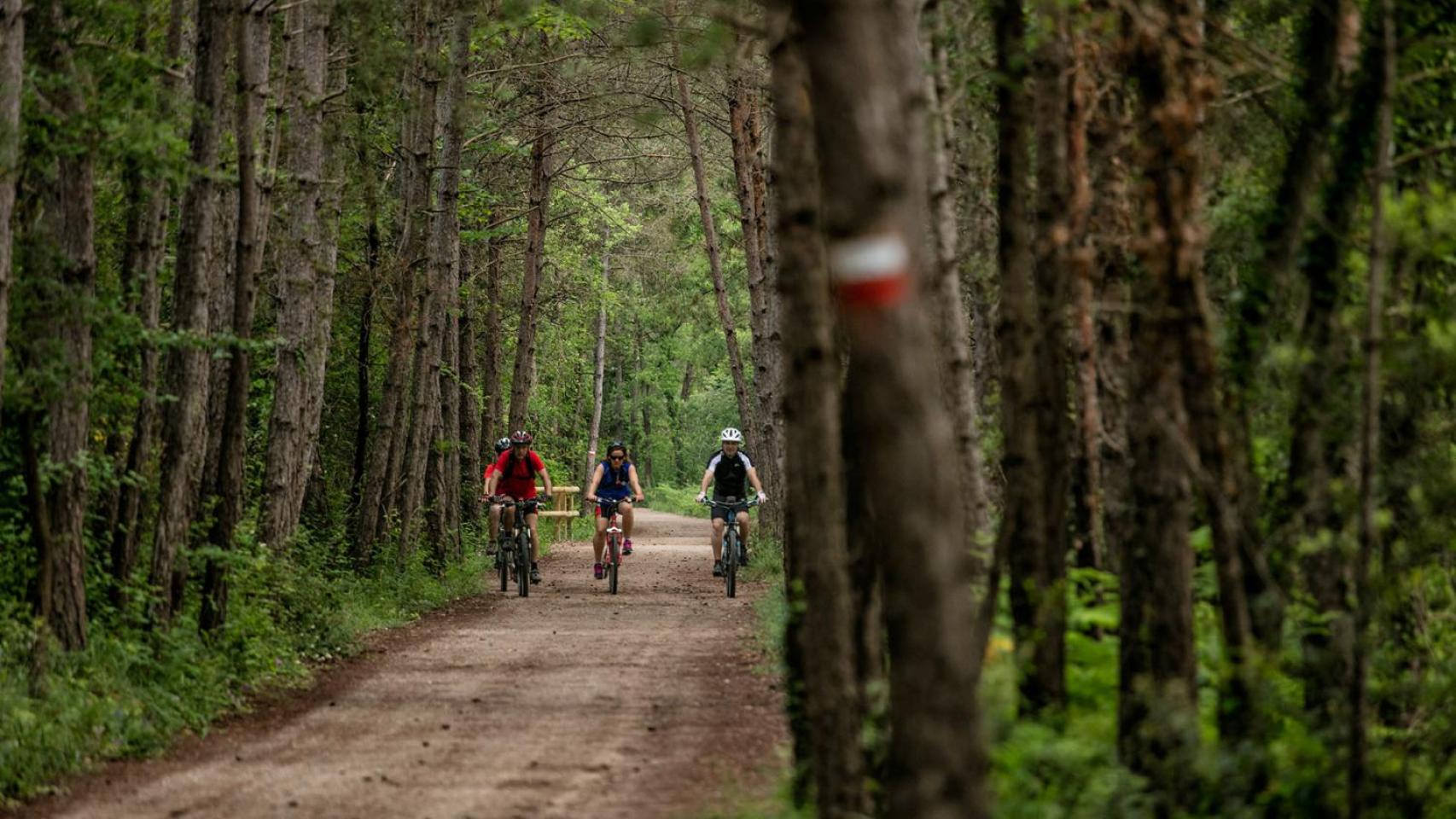 Senderismo y bici en las montañas de Barcelona