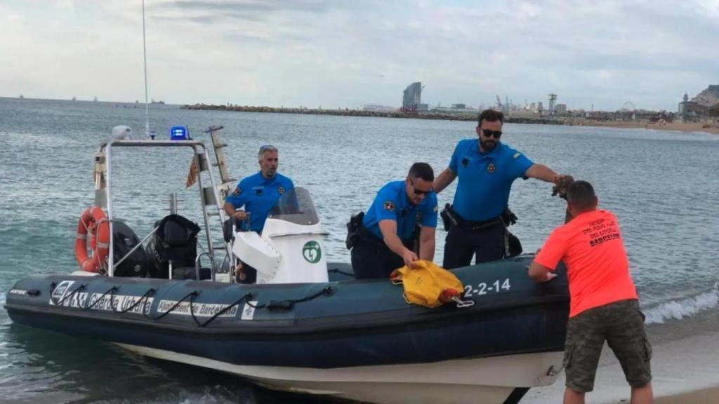 Imagen de archivo de una patrulla marítima de la Guardia Urbana de Barcelona