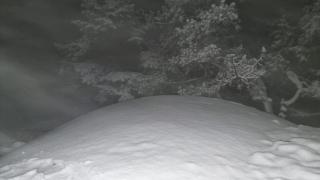 Nieve en la provincia de Barcelona: el Montseny se tiñe de blanco en su primera nevada invernal