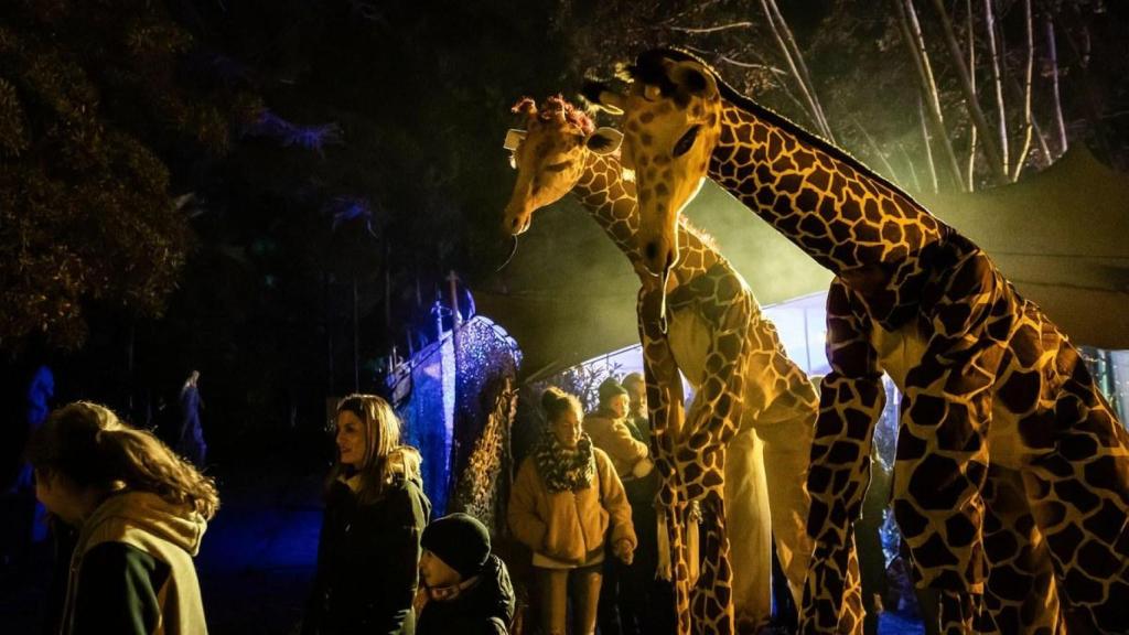 Edición anterior del Campament Reial en Badalona