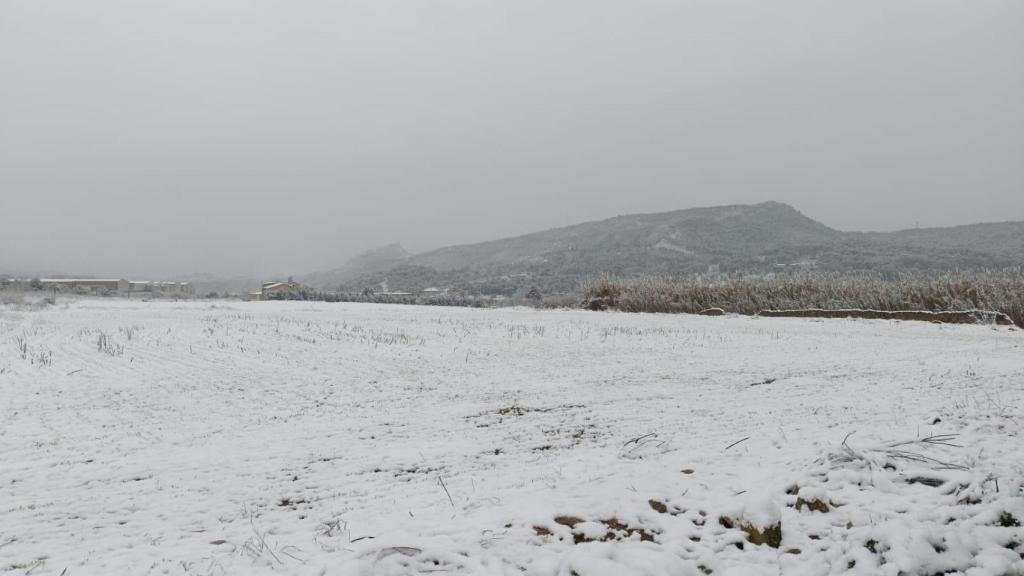Neu a Vilanova del camí