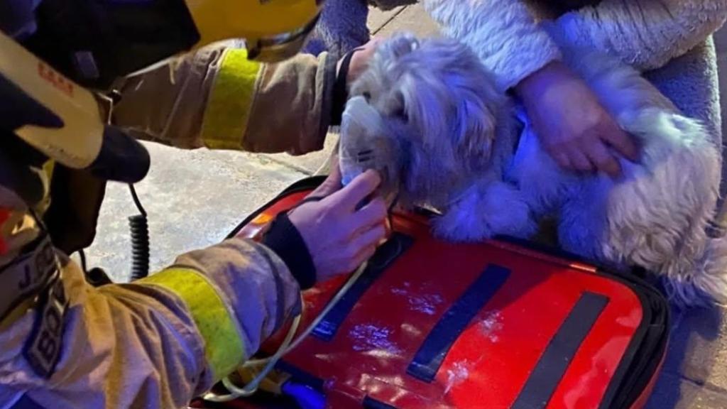 Los Bomberos rescatan a diez personas y un perro en un incendio doméstico en Castelldefels.Duran (1)