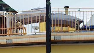 Alarma en Badalona por un perro atado día y noche en Sistrells: "Le pegan a diario con el bol de la comida"