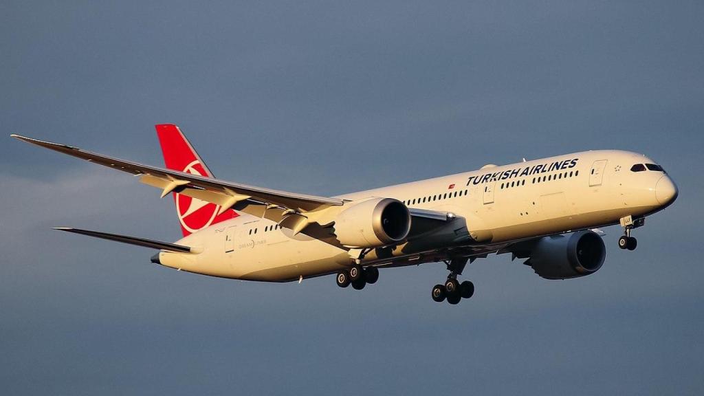 Imatge d'arxiu d'un avió de Turkish Airlines