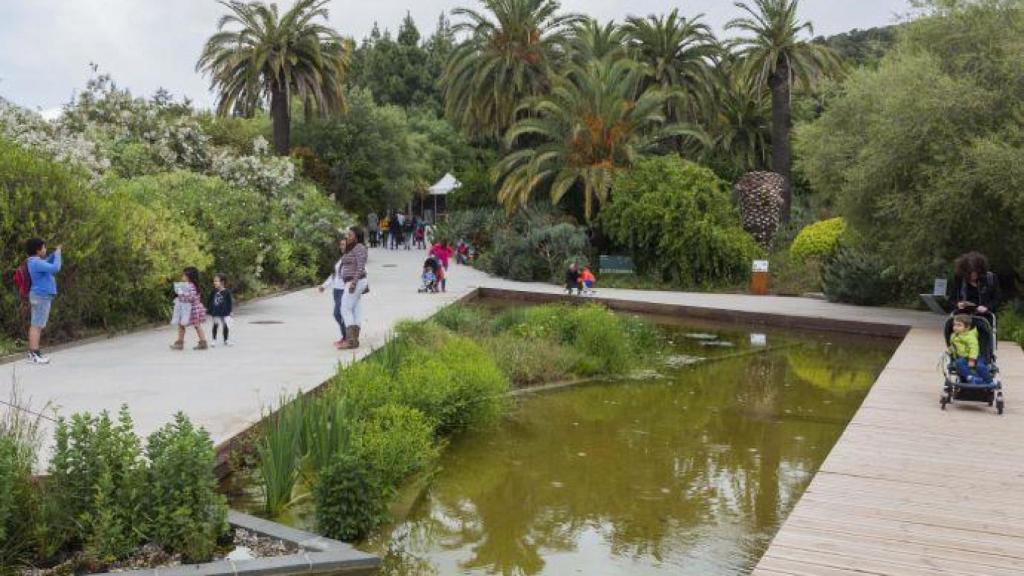 Jardí Botànic de Barcelona
