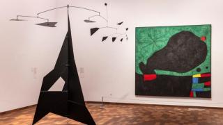Salas de la exposición Miró y los Estados Unidos, comisariada per Marko Daniel, Matthew Gale i Dolors Rodriguez Roig