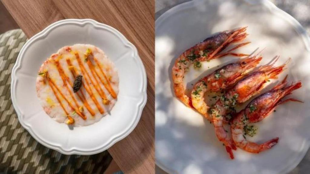 Carpaccio de cigalas y gambas rojas del restaurante Albarada en METT Barcelona