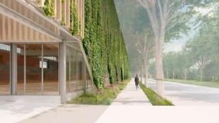 El nuevo pabellón de Can Zam