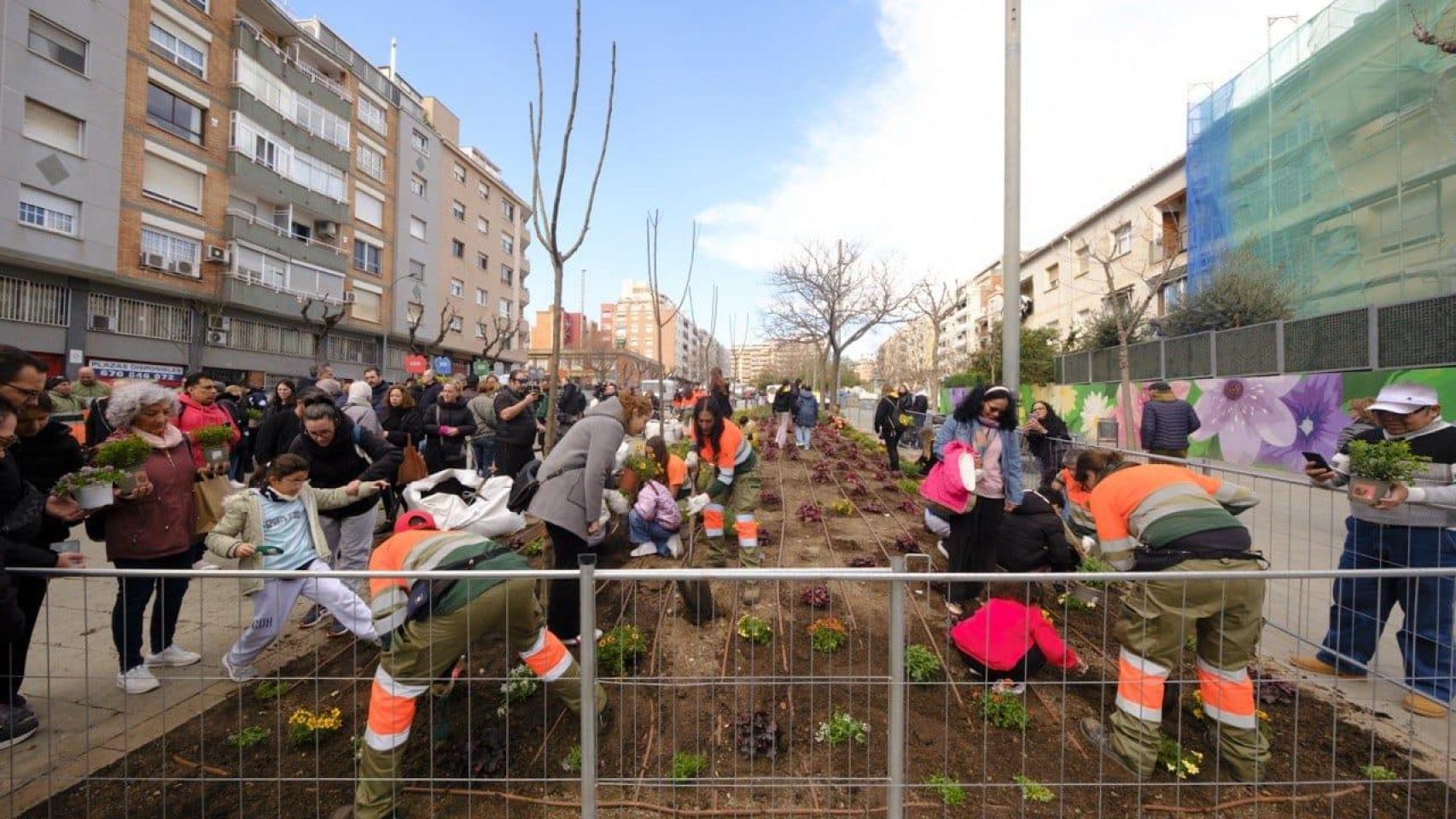 Plantación de árboles en la avenida de la Primavera, en L'Hospitalet