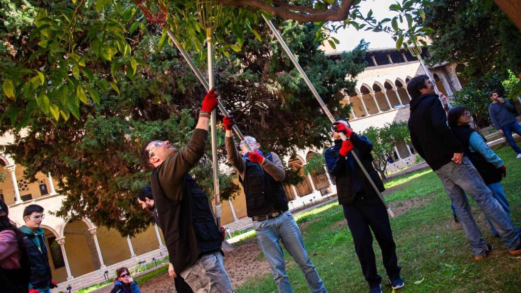 La tradición que se celebra por sexto año consecutivo en Barcelona
