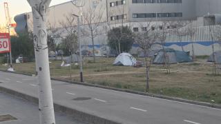 Asentamiento en la Zona Franca