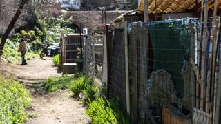 Veïns d'Horta i Nou Barris denuncien el 