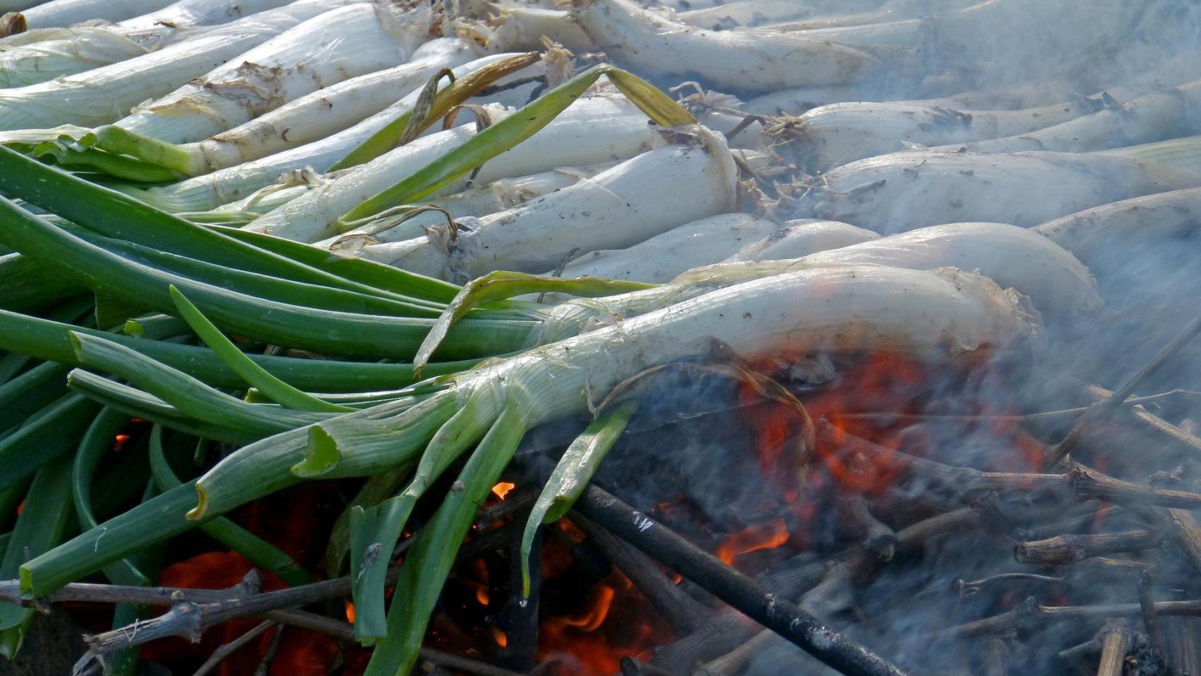 Calçots en una imagen de archivo