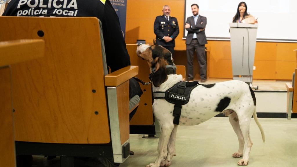 Clausura del curso de especialización de la AGCPLCAT con la entrega de medallas al mérito para agentes y canes