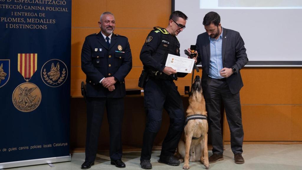 Clausura del curso de especialización de la AGCPLCAT con la entrega de medallas al mérito para agentes y canes