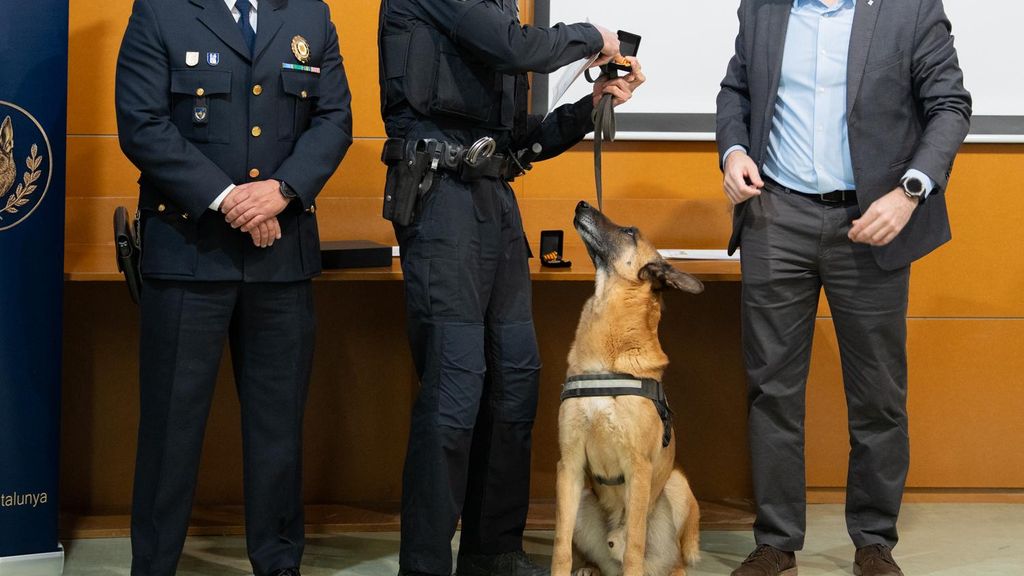 Cloenda del curs d'especialització de l'AGCPLCAT amb el lliurament de medalles al mèrit per a agents i gossos
