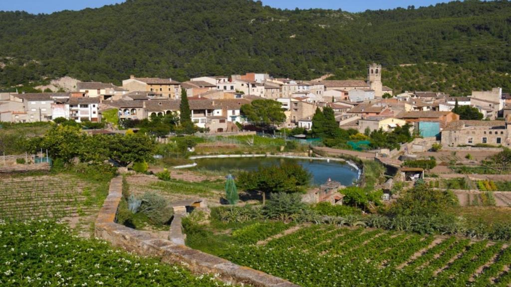Comarca de l'Anoia
