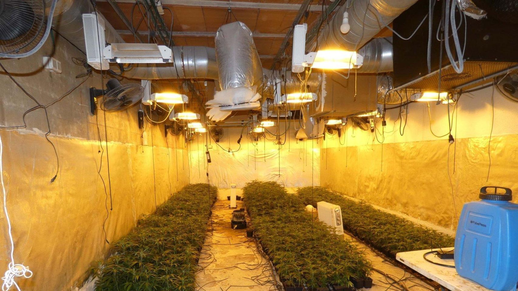 Plantación de marihuana escondida en un búnker construido en un jardín