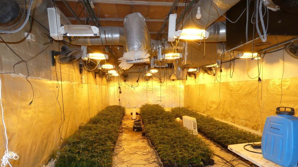 Plantación de marihuana escondida en un búnker construido en un jardín