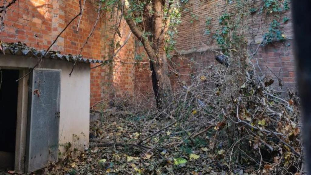 Interior del Jardí Beatriu Pinós-Milany