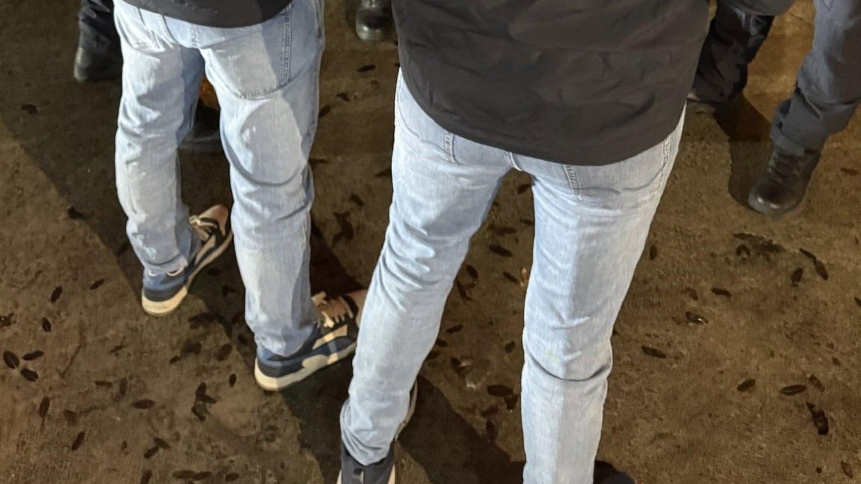 Dispositivo de Mossos en Barcelona contra una red de tráfico de drogas con vínculos con Italia