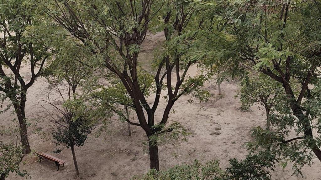 El parc de Torreblanca on els veïns denuncien incivisme
