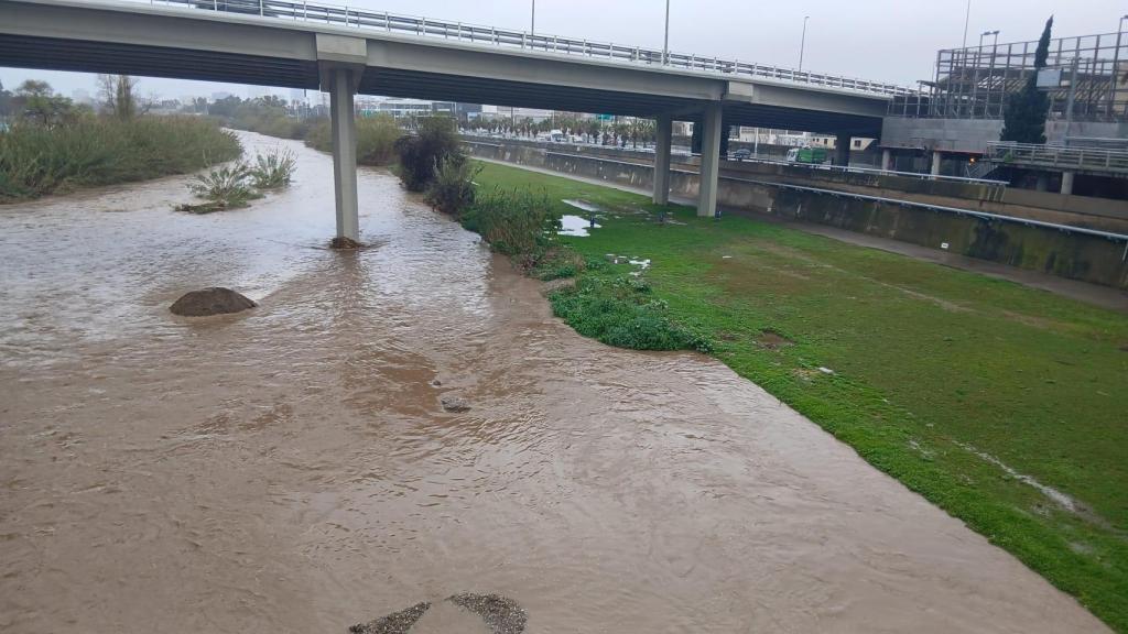 El Parc Fluvial del Besòs després de les pluges