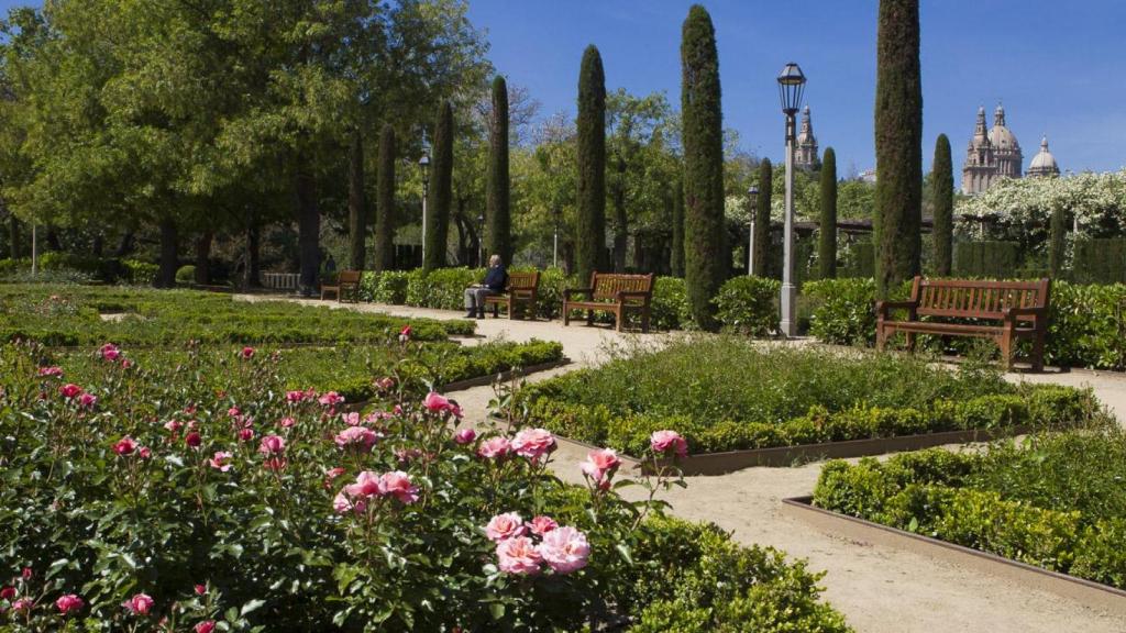 Uns jardins a Montjuïc