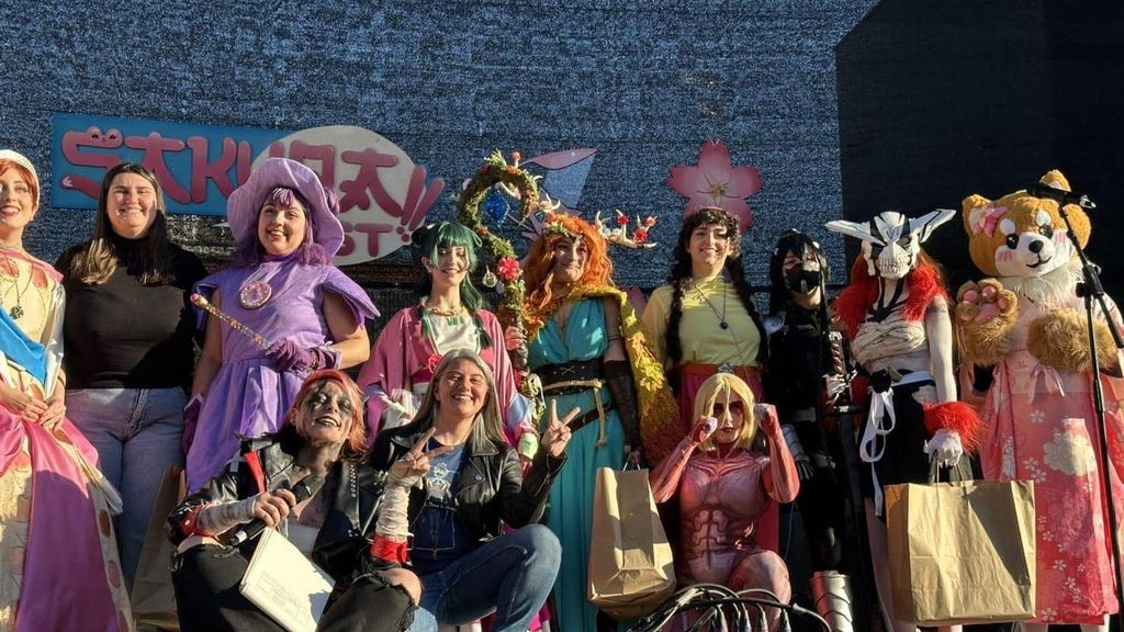 Edició anterior del Sakura Fest a Gavà