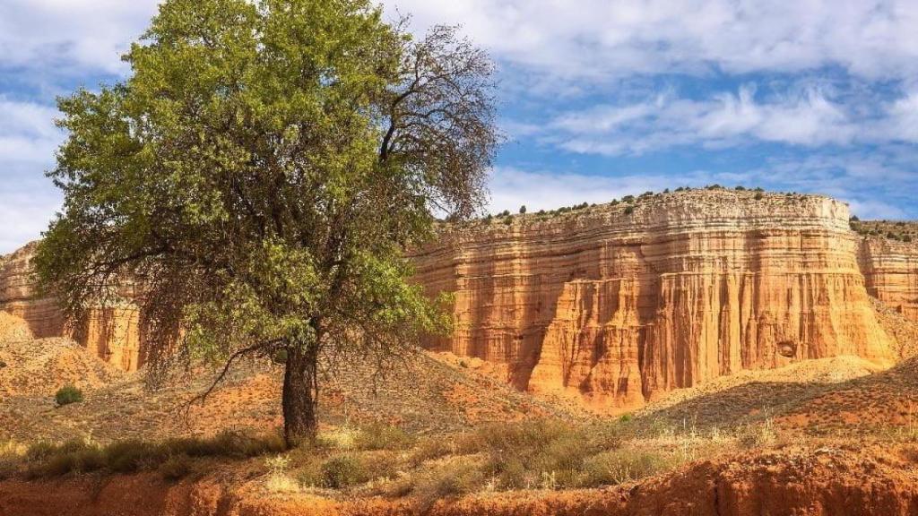 La Rambla de Barrachina en Teruel