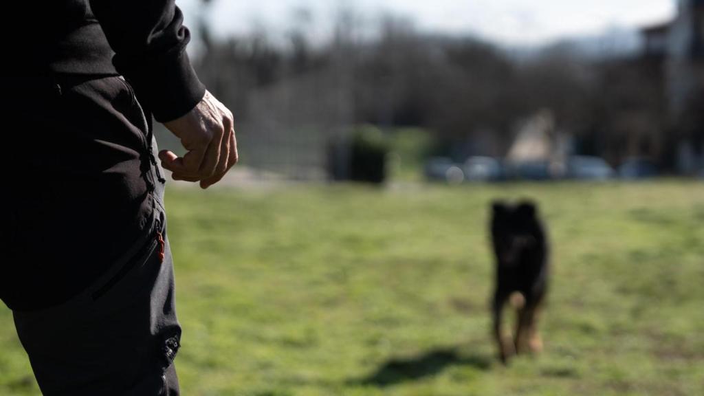 Crusher, el perro policía de Granollers “jubilado” a la fuerza