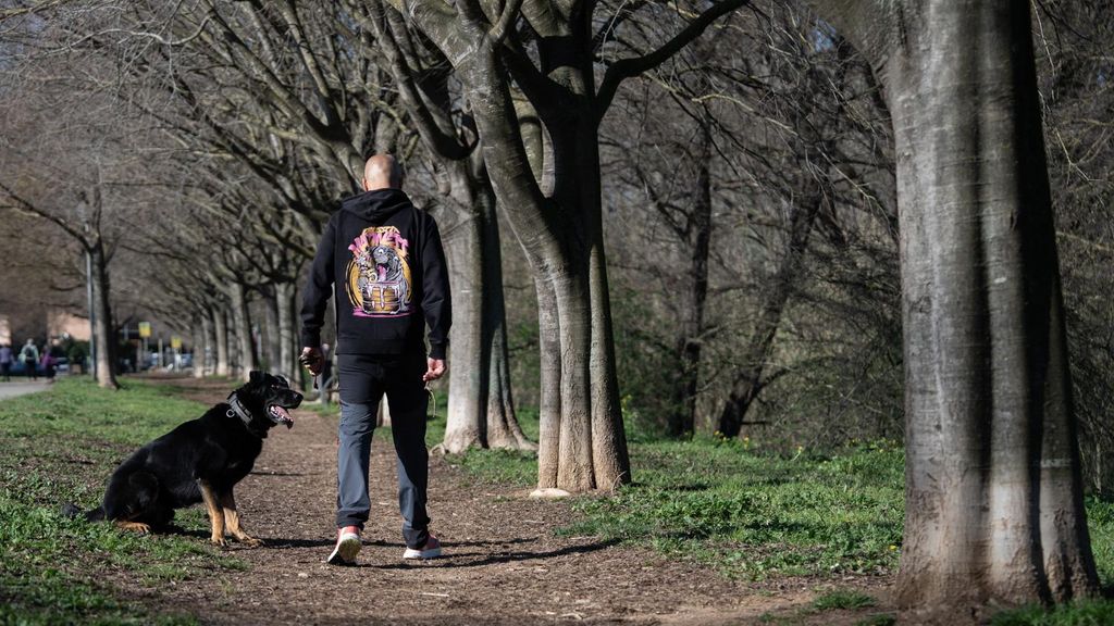 Crusher, el gos policia de Granollers “jubilat” per força
