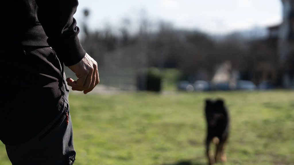 Crusher, el gos policia de Granollers “jubilat” per força