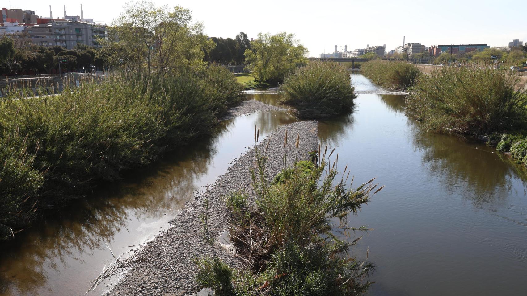 Regeneración del paseo fluvial del río besòs
