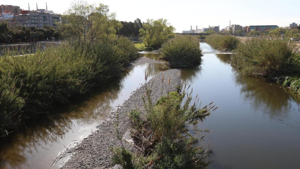 Regeneración del paseo fluvial del río besòs