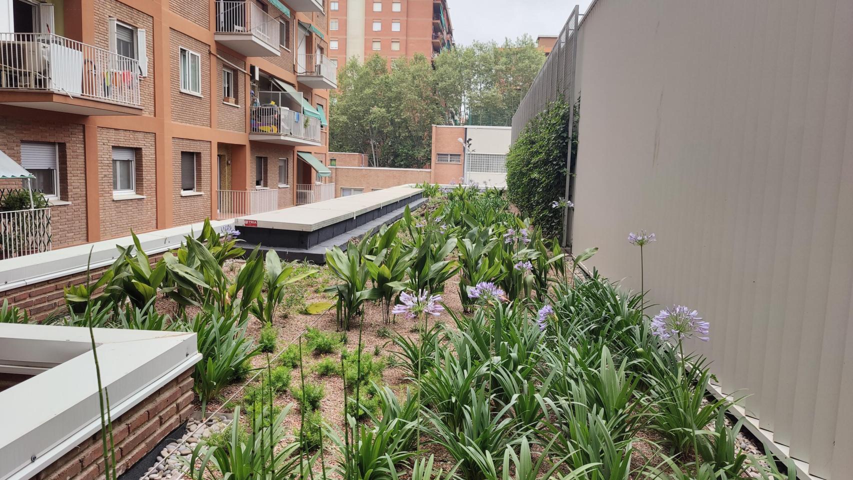 Cubierta verde en la escuela infantil Pere Calafell
