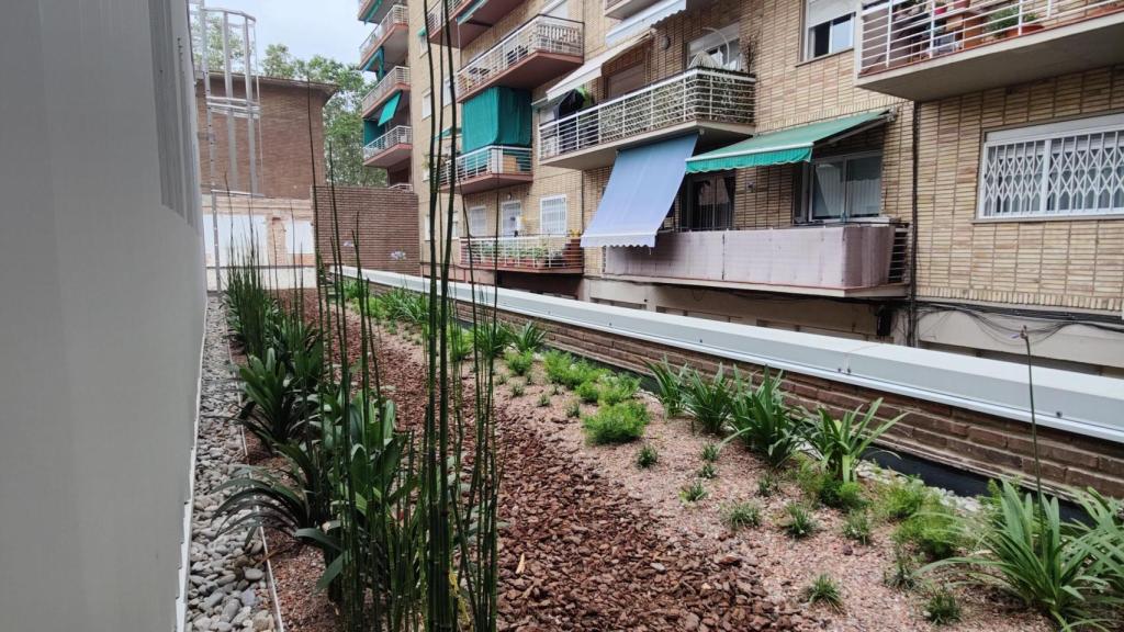 Cubierta verde en la escuela infantil Pere Calafell