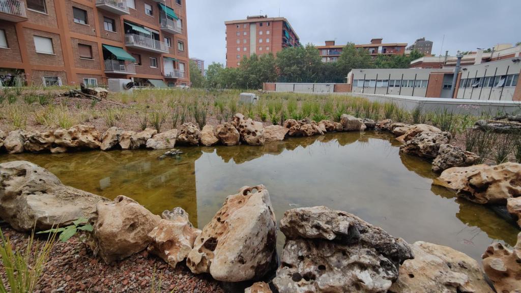 Cubierta verde en la escuela infantil Pere Calafell