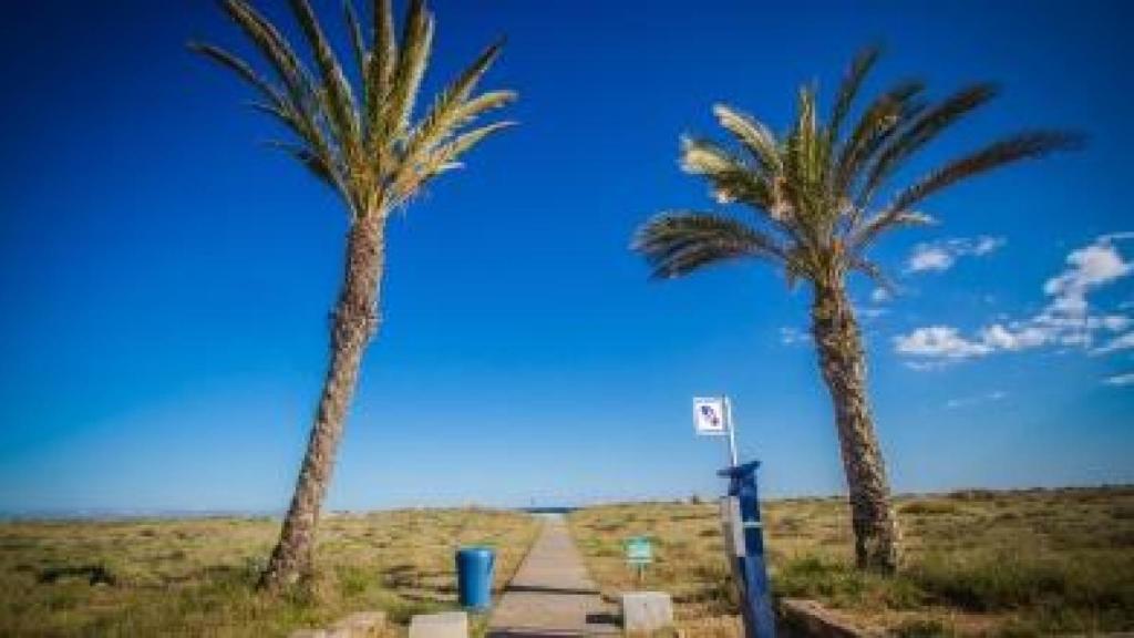 Pineda de Can Camins
