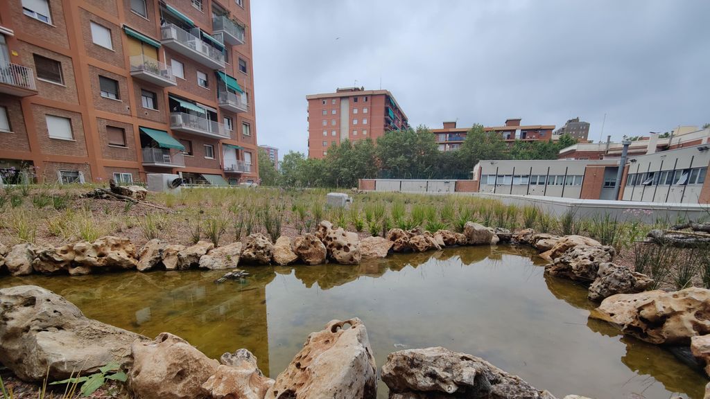 Coberta verda a l'escola infantil Pere Calafell
