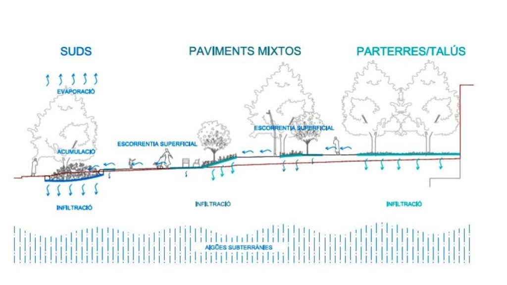 Estratos de vegetación en el futuro espacio verde