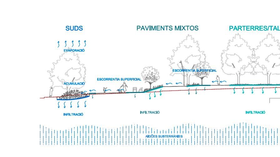Estrats de vegetació en el futur espai verd