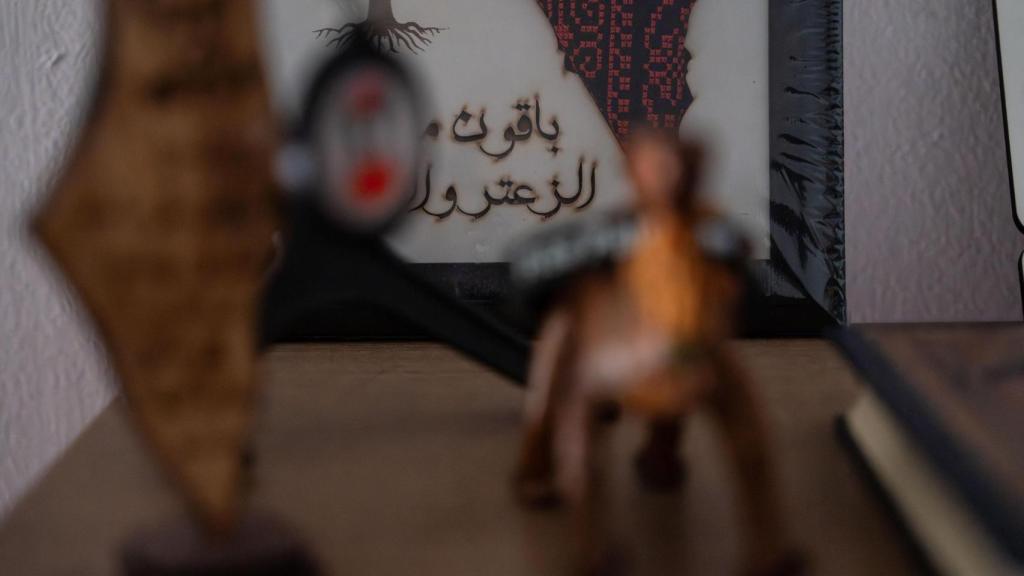 Estantería de la casa de Amir Shafi