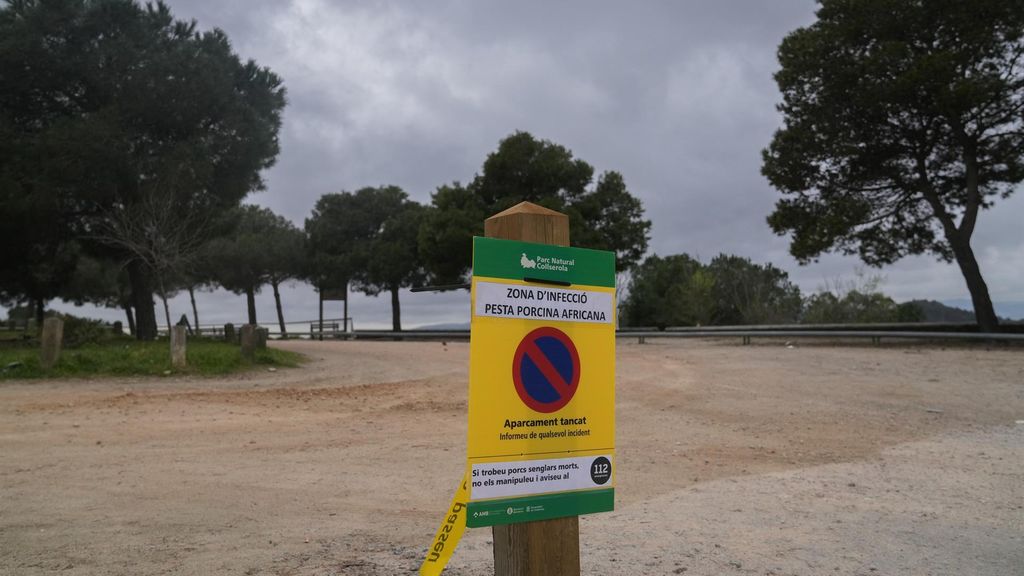Una valla indica la prohibición del acceso al Parque Natural de Collserola (Barcelona)