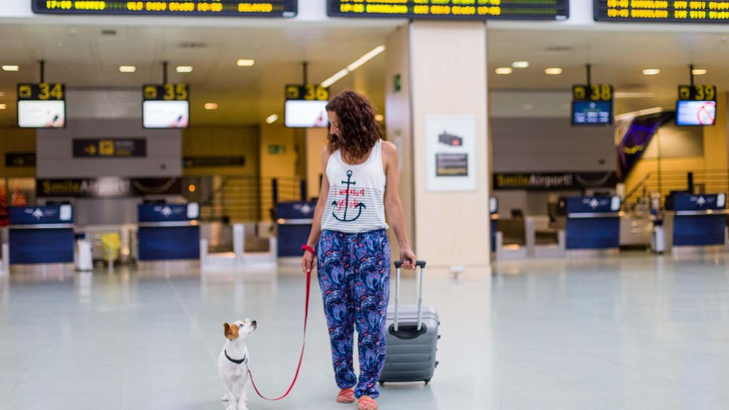 Un gos al costat de la seva mestressa en un aeroport en una imatge d'arxiu